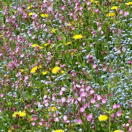 Brandtnerhof Betriebe 4* Waidring